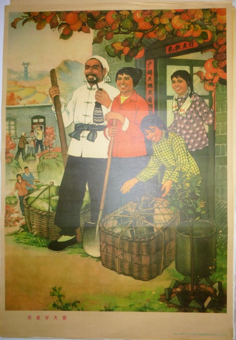 Learn Agriculture from Dazhai Poster (1 of 1)