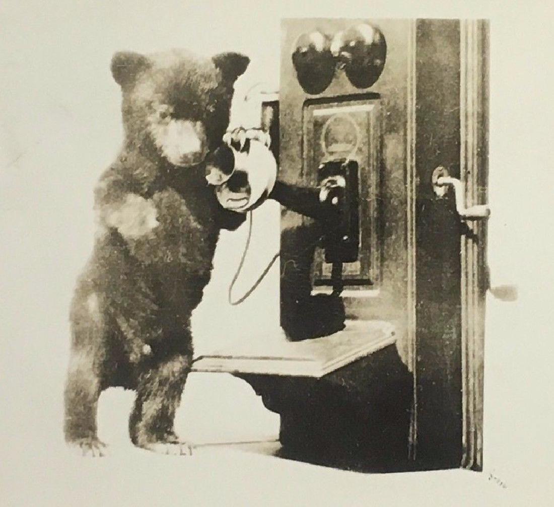 Vintage 1947 Bear Cub Telephone Novelty Animal Photo (1 of 3)