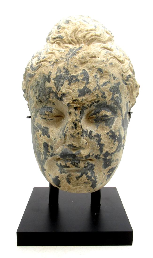 Ancient Gandhara Schist Stone Statue of Buddha's Head (1 of 3)