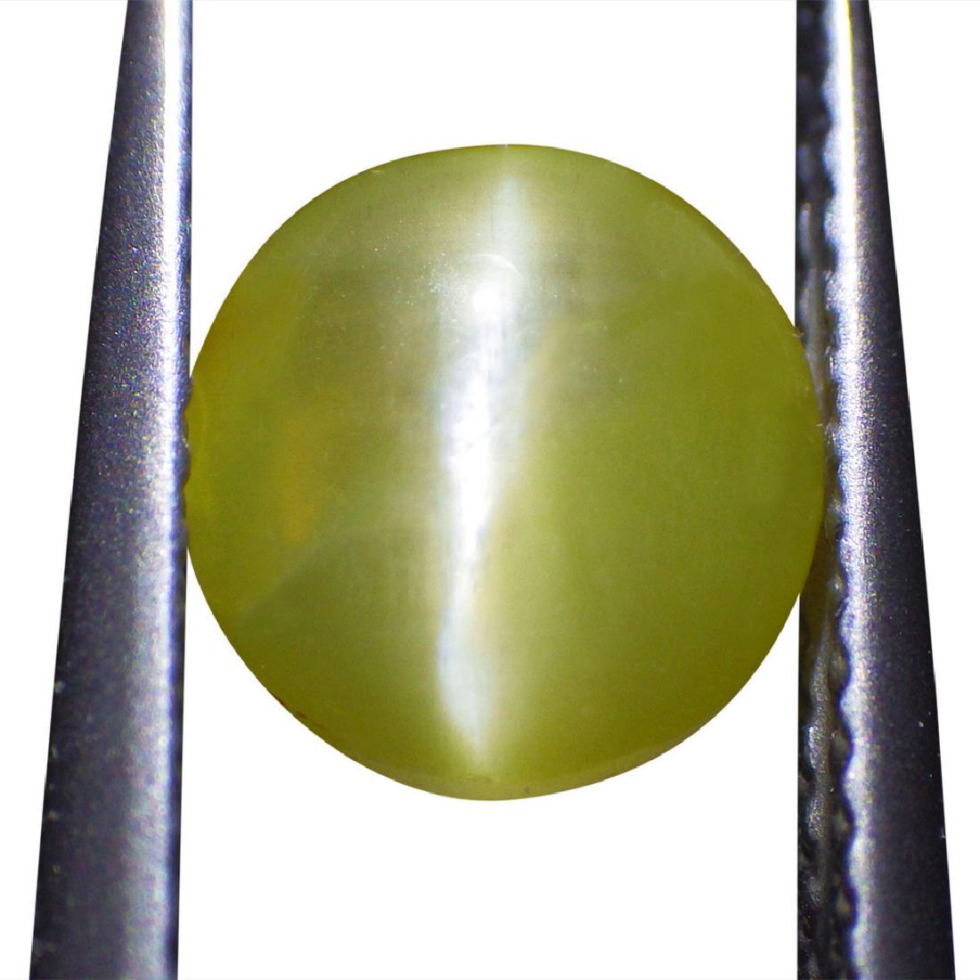 1.19 Carat Loose Oval Cat's Eye Chrysoberyl (1 of 6)