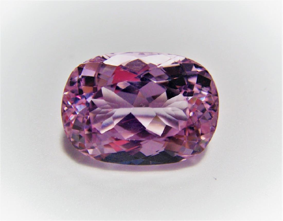 Kunzite 13.09 Carat Loose (1 of 4)