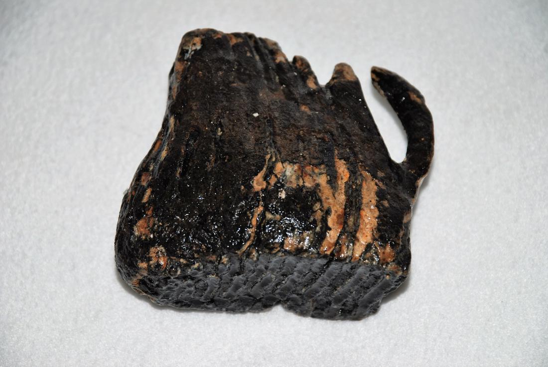 Woolly mammoth molar (1 of 9)