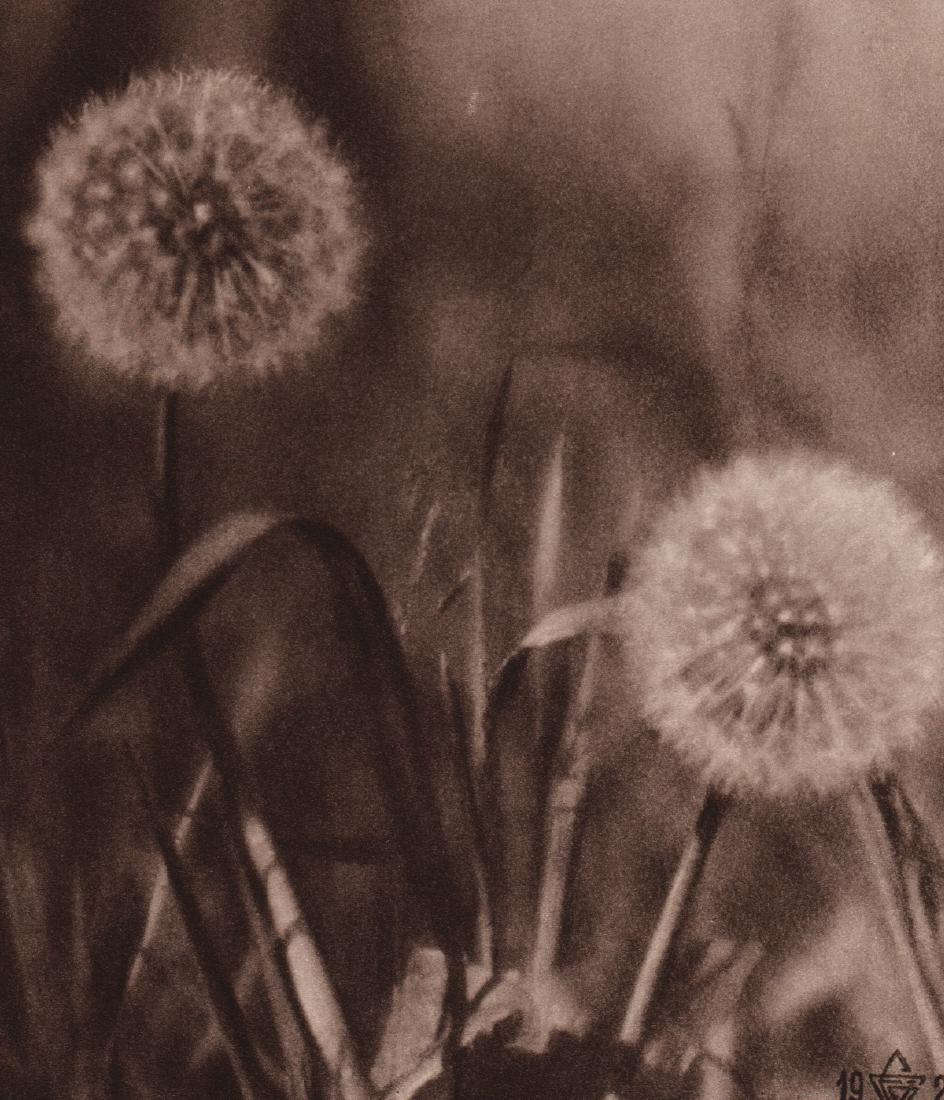 E. GAIKIS - Pienenes - The Blow Balls: Artist: E. GAIKIS Print Title: Pienenes - The Blow Balls Medium: Sheet-fed Gravure Printing Date: 1930 Printed in France Image Size: 6.5 x 7.5 inches No Reserve: This lot starts at $1 and has no reser