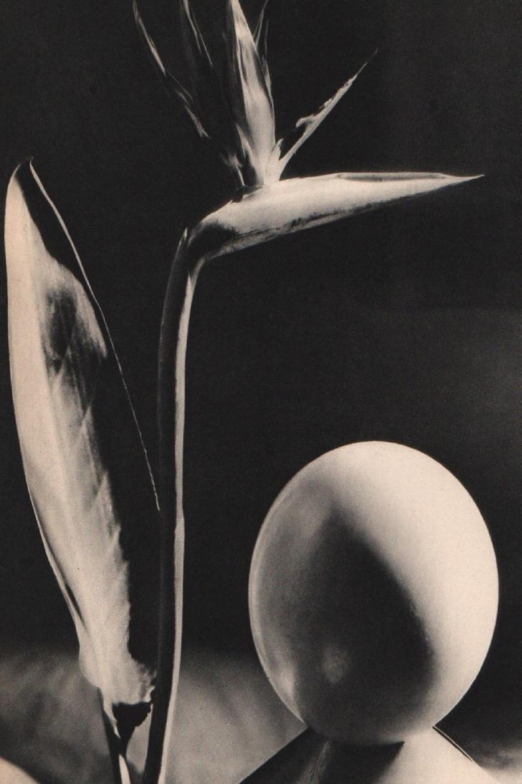 MAN RAY - Bird of Paradise: Artist: MAN RAY Print Title: Bird of Paradise Medium: Sheet-fed Gravure Printing Date: 1934 Printed: France Image size approx. 7.25 x 11.25 inches Man Ray, original name Emmanuel Radnitzky, was born o