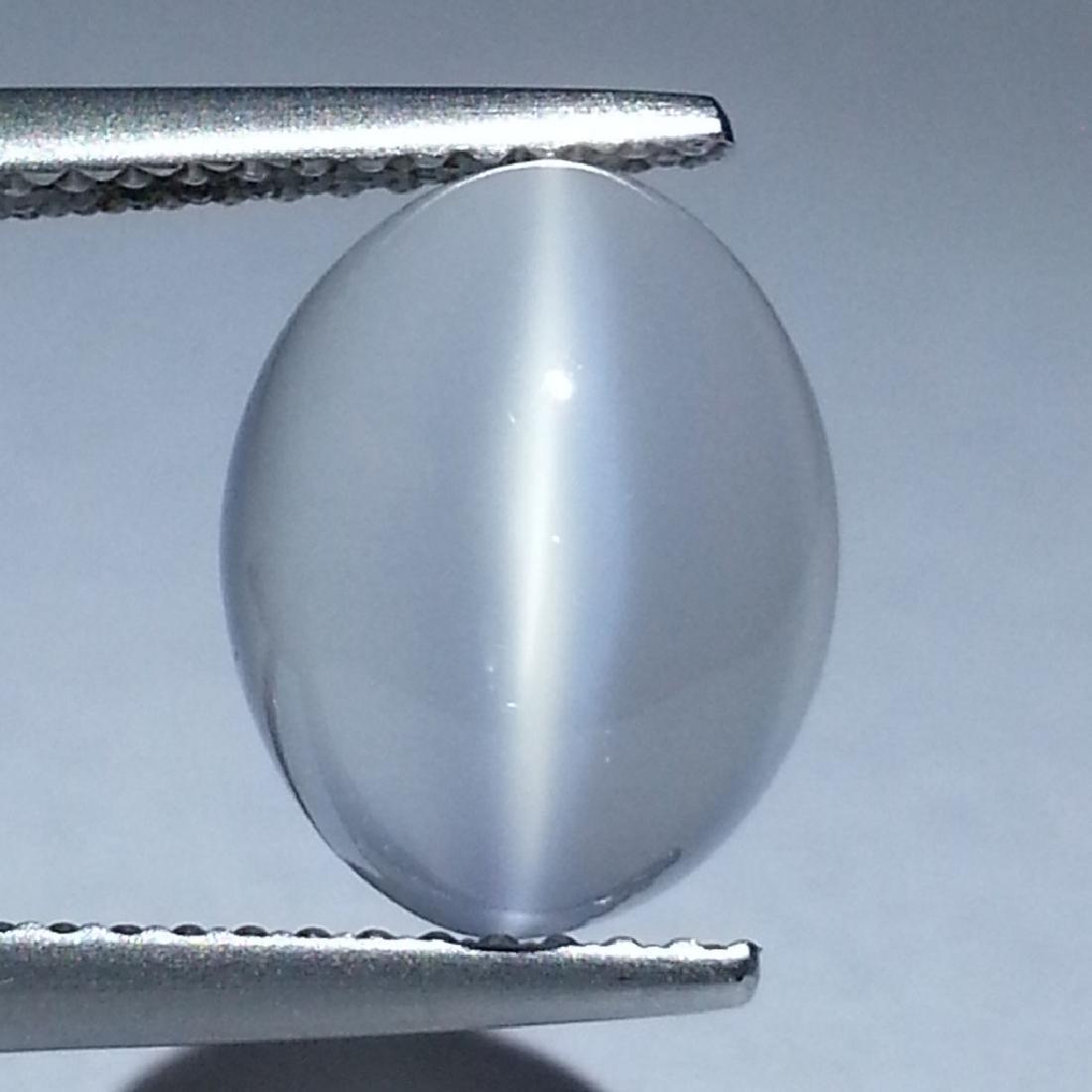Cat's Eye Moonstone - 3.91 Carat Loose (1 of 4)