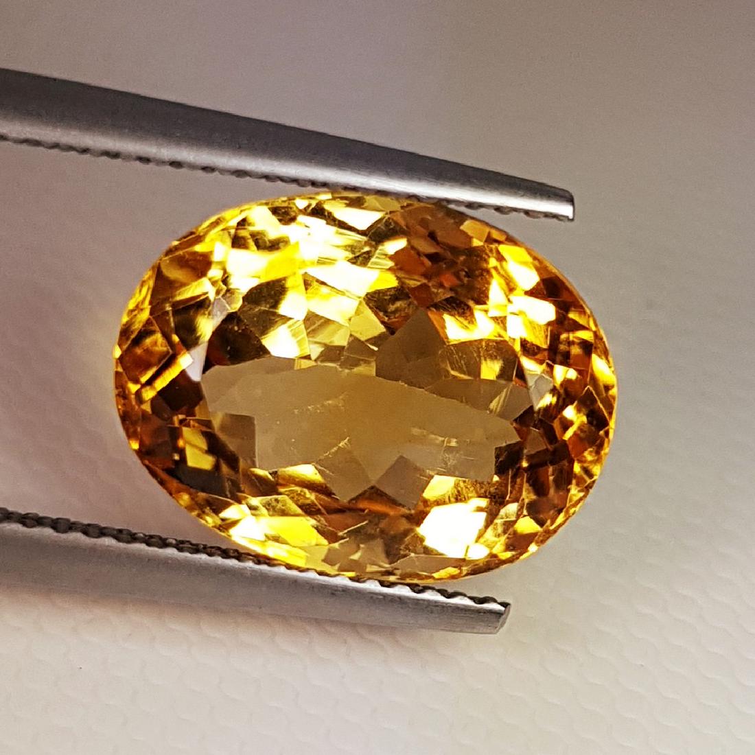 Citrine - 7.26 Carat Loose (1 of 4)