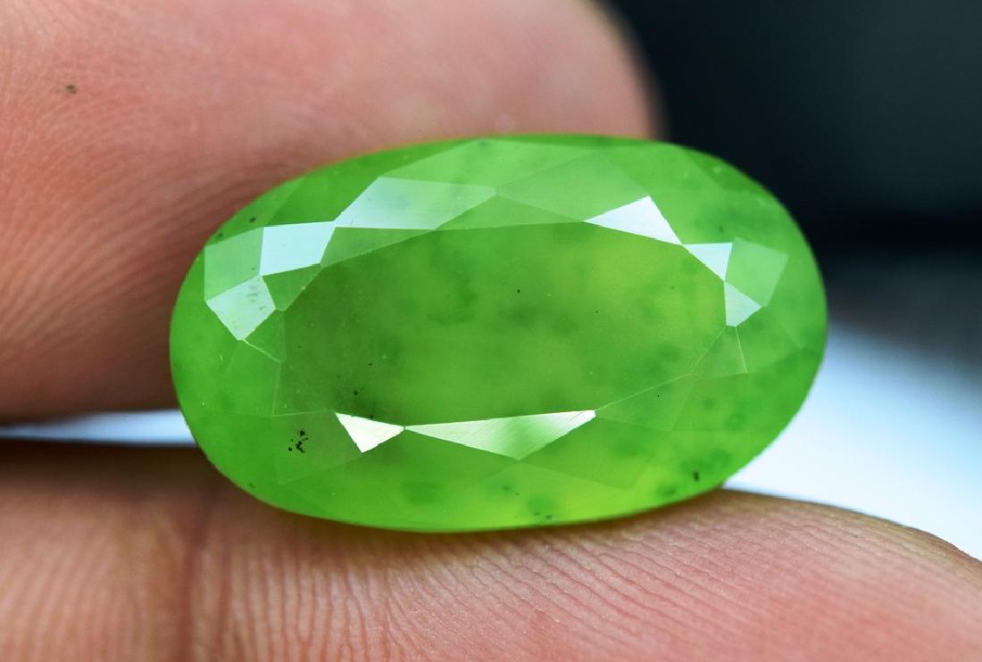 Hydrogrossular Garnet Idocrase Loose Gemstone (1 of 6)