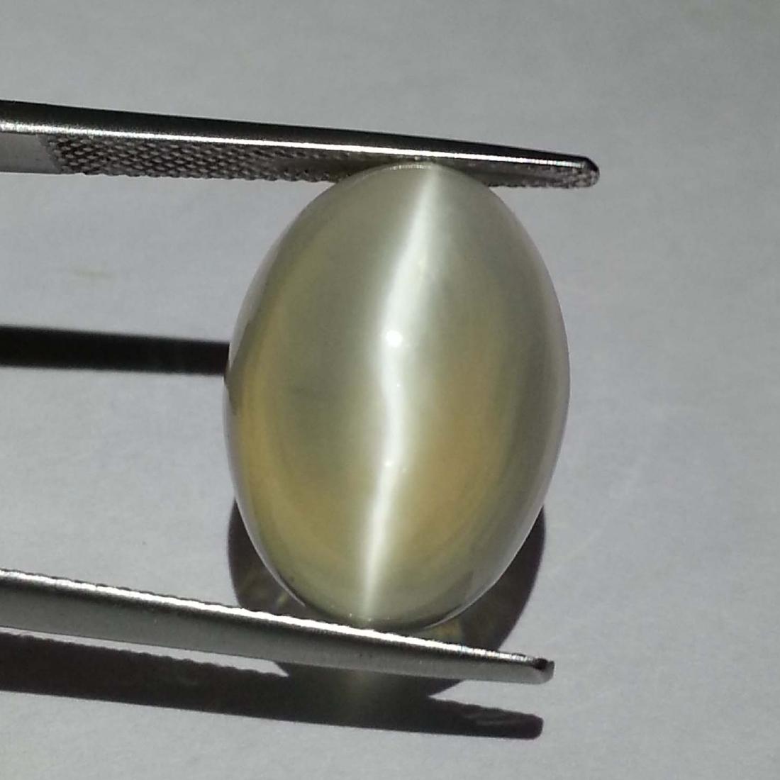 Green Moonstone Cat's Eye - 15.10 Carat Loose: Item: Green Moonstone Cat's Eye - 15.10 ct Loose gemstone Color/Clarity: VVS - VS Carat Weight: 15.1 Size (mm): 18.40 x 13.20 x 8.30 Oval - Srilanka No Reserve: This lot starts at $1 and has no reserv