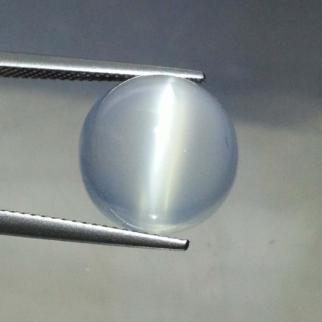 Moonstone Cat's Eye - 13.32 Carat Loose: Item: Moonstone Cat's Eye - 13.32 ct Loose gemstone Color/Clarity: VVS - VS Carat Weight: 13.32 Size (mm): 13.60 x 13.40 x 9.90 Round - Srilanka No Reserve: This lot starts at $1 and has no reserve as