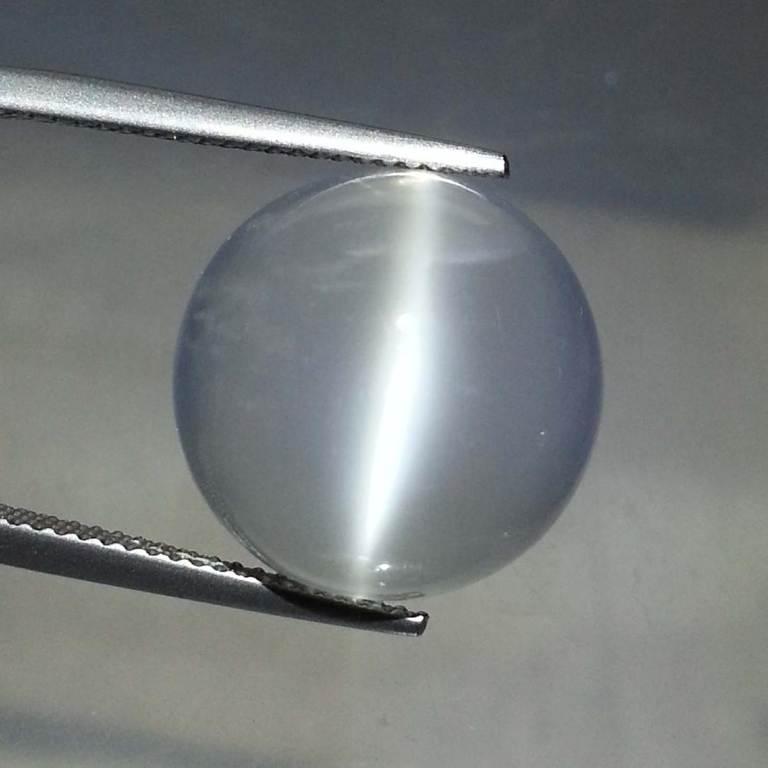 Moonstone Cat's Eye - 16.10 Carat Loose (1 of 4)