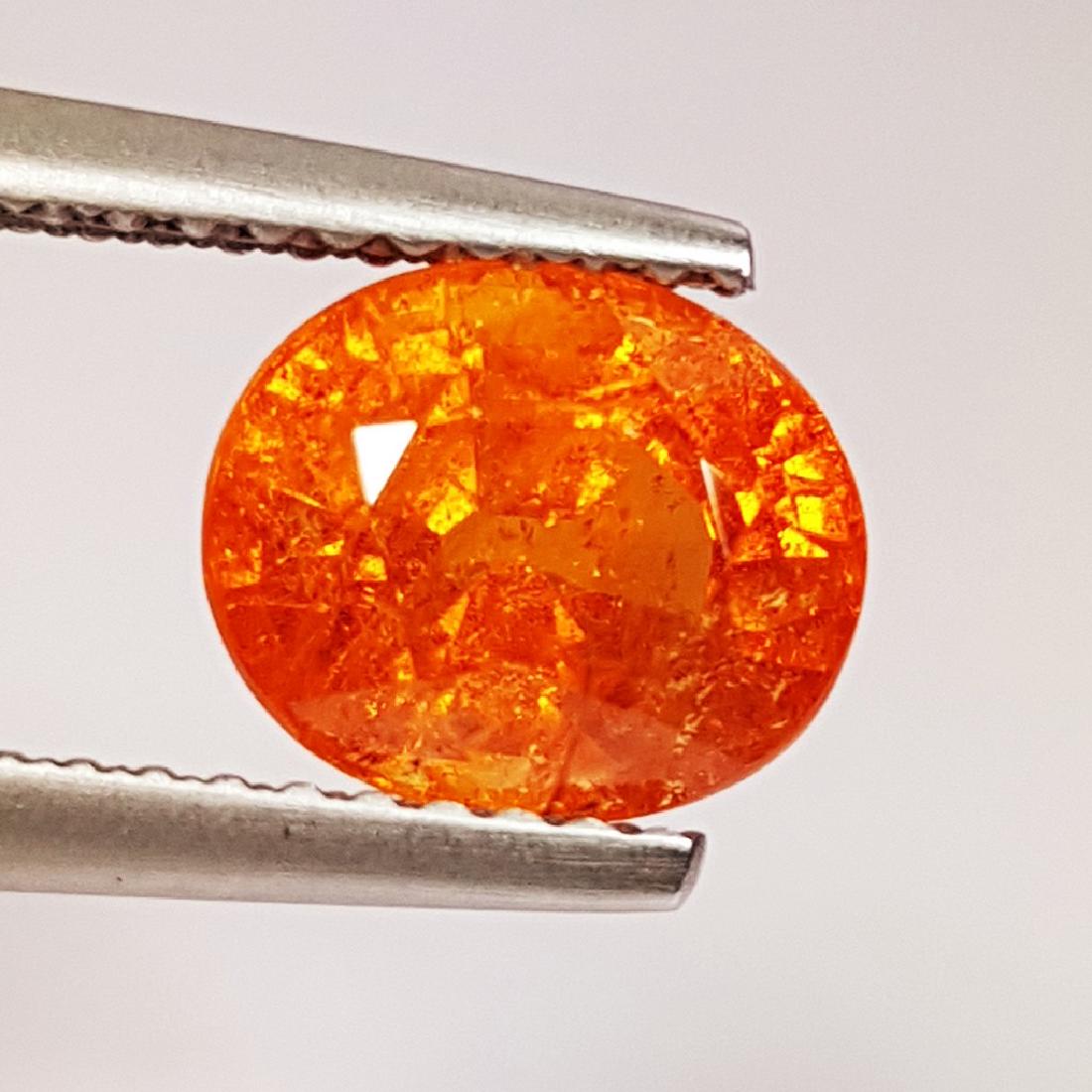 Spessartite Garnet - 2.59 Carat Loose (1 of 4)