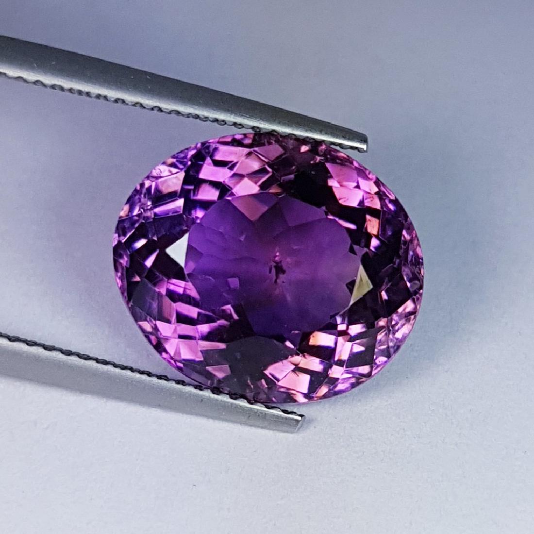 Amethyst - 9.82 Carat Loose (1 of 4)