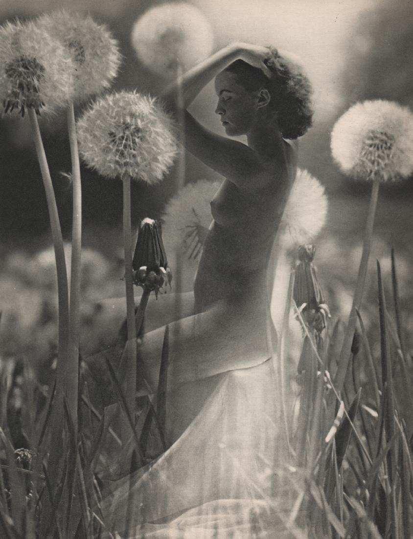 ANDRE DE DIENES - Nude in the dandelions: Artist: ANDRE DE DIENES Print Title: Nude in the dandelions Medium: Sheet-fed Gravure Printing Date: ca 1950's Printed: France Image size approx. 9 x 11.5 inches Andre De Dieneswas a Hungarian photogr