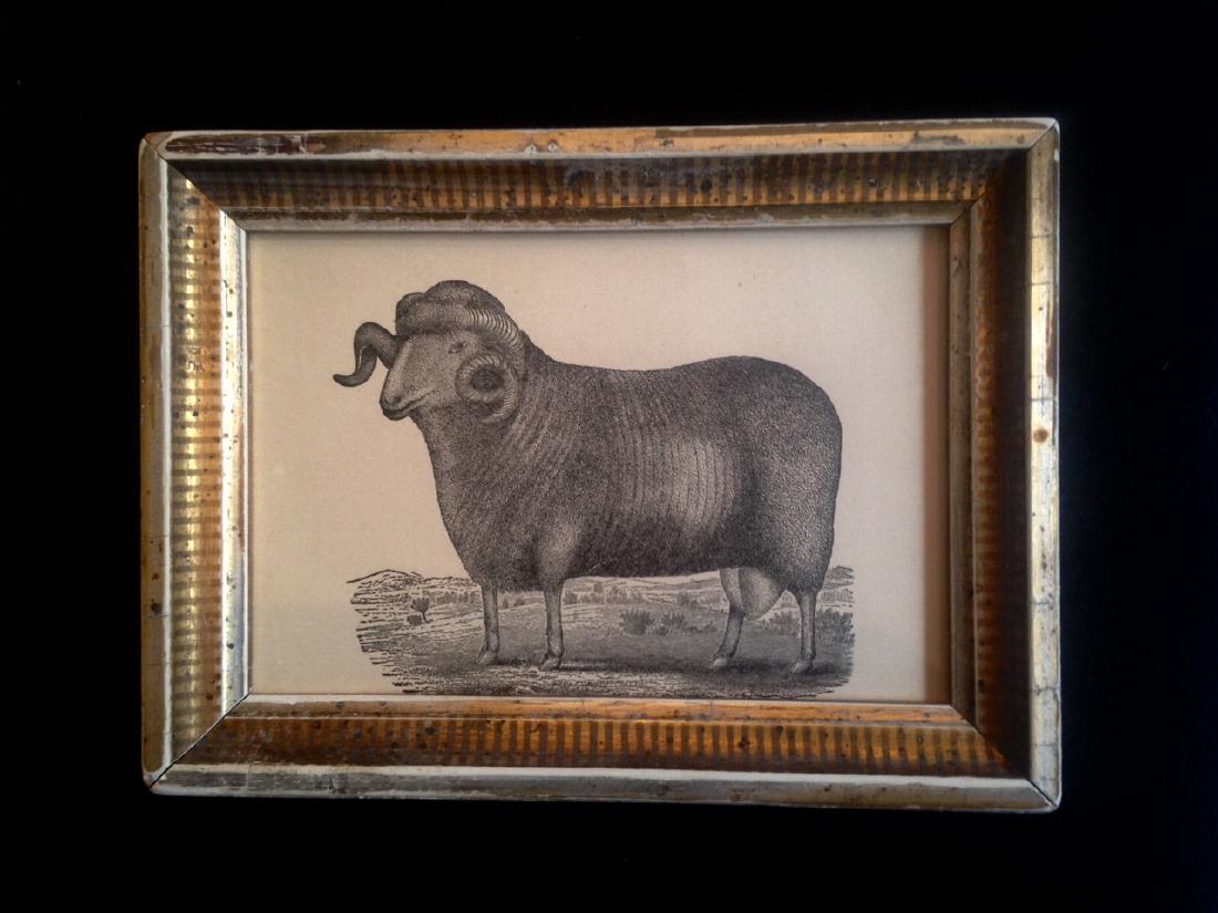 19thc Sheep Engraving (1 of 2)