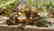 Lineol 1230 8x8 AA field gun