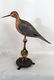 Carved and Painted Shore Bird 1960-90 Signed Orcutt