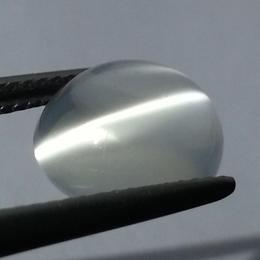 Cat's Eye Moonstone - 3.58 Ct (1 of 4)