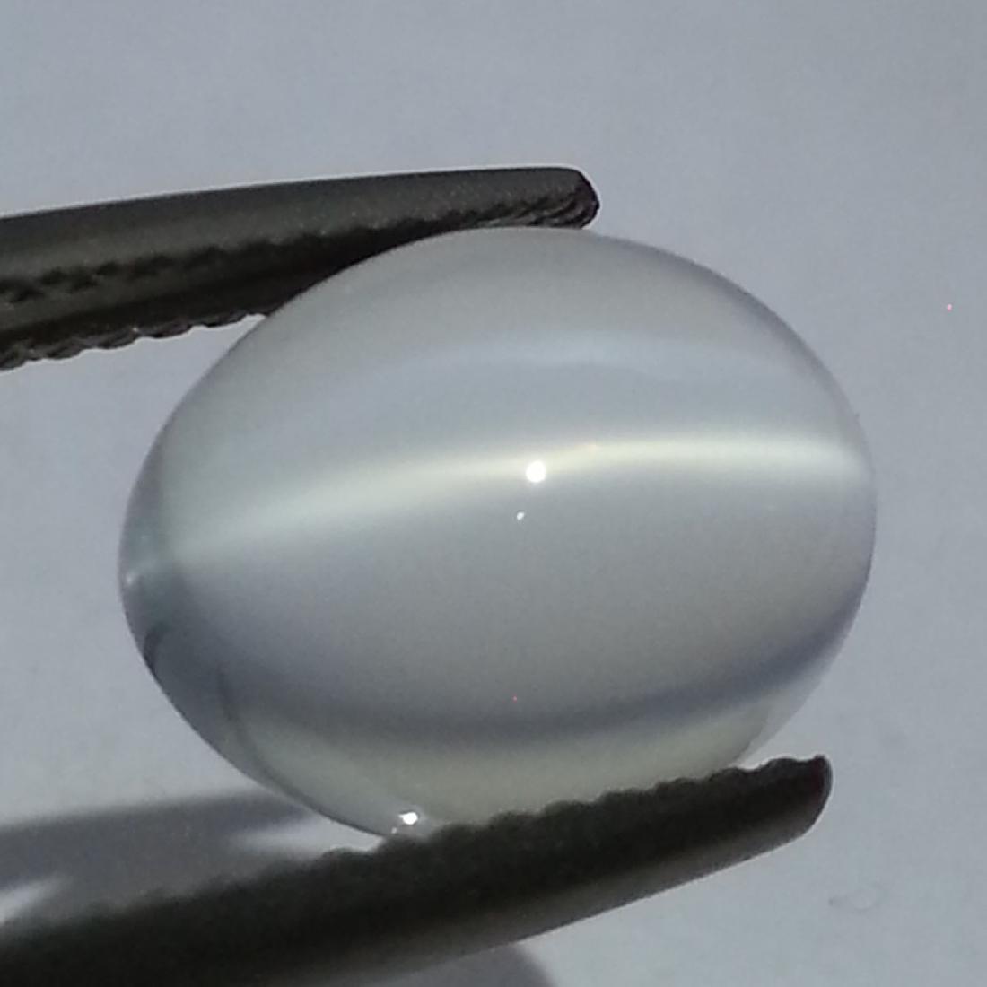 Moonstone Cat's Eye - 3.59: Item: Moonstone Cat's Eye - 3.59 Loose gemstone Color/Clarity: IF - VVS Carat Weight: 3.59 Size/Dimensions (mm): 11.13 x 8.99 x 4.98 Oval - Srilanka No Reserve: This lot starts at $1 and has no reserv