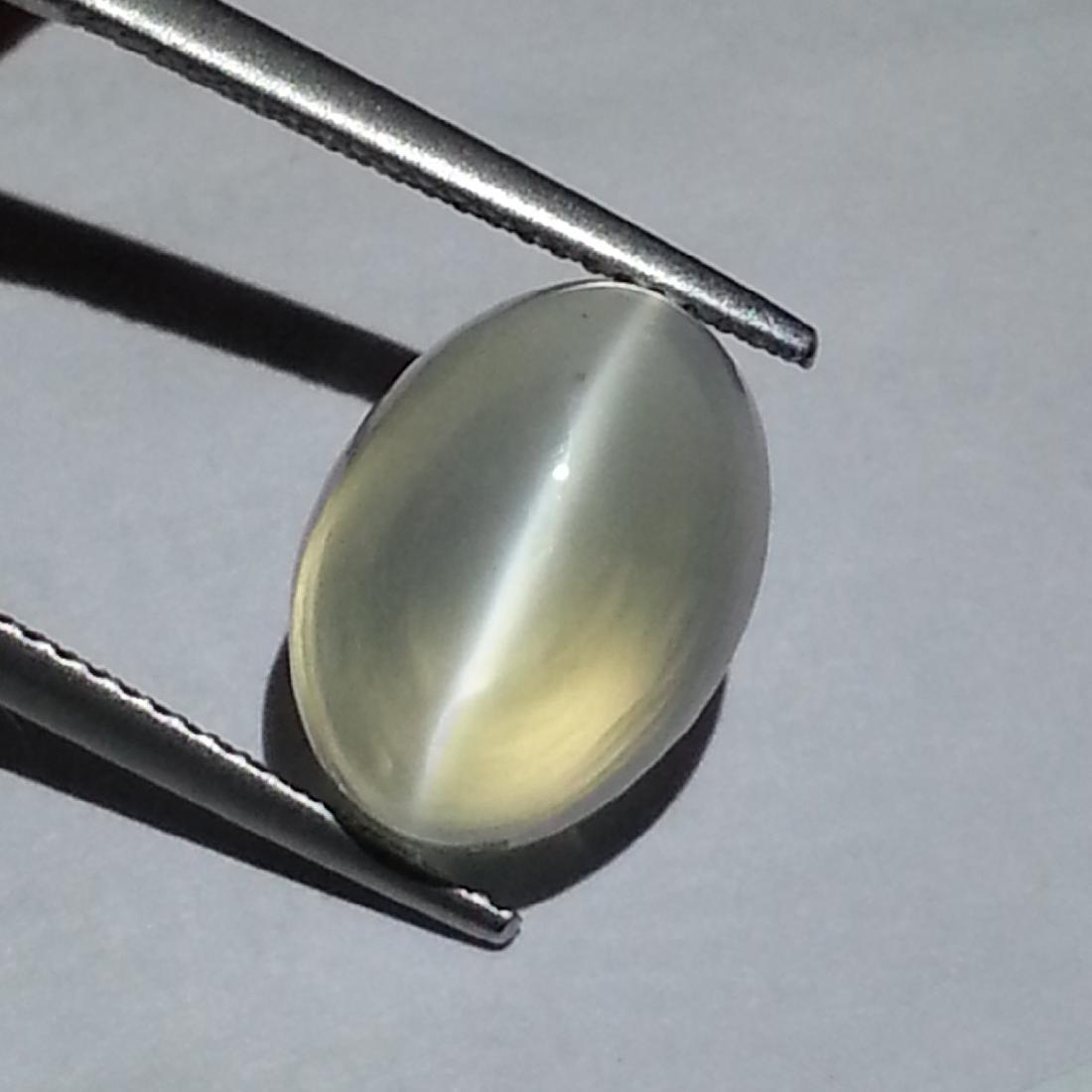 Moonstone Cat's Eye - 7.68 ct (1 of 4)