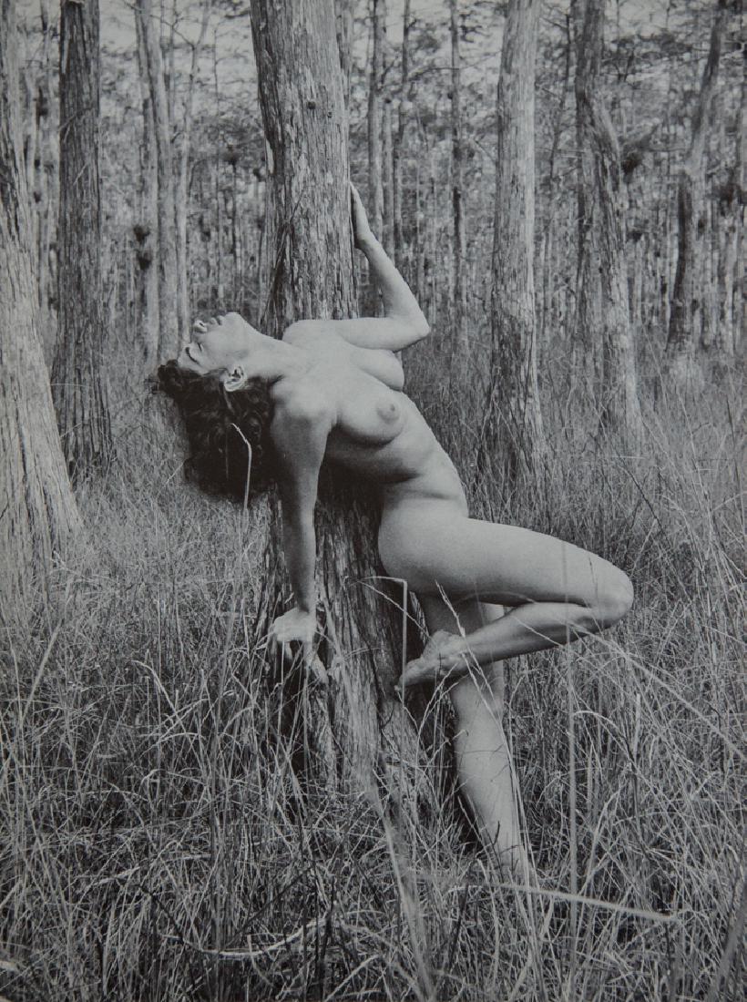 ANDRE DE DIENES - Nude, Trees: Artist: Andre De Dienes Title: Nude, Trees Medium: Sheet Fed Gravure, 1966, USA Dimensions: 9x12" Wax tissue heat mounted on 14x18" conservation board Andre De Dienes was a Hungarian photographer, not