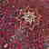 Antique Hand Knotted Bidjar Tug 7.5x4.7 - 6