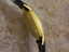 Movado Tempo Matic 14k Gold Swiss Made Mens 1960s - 5