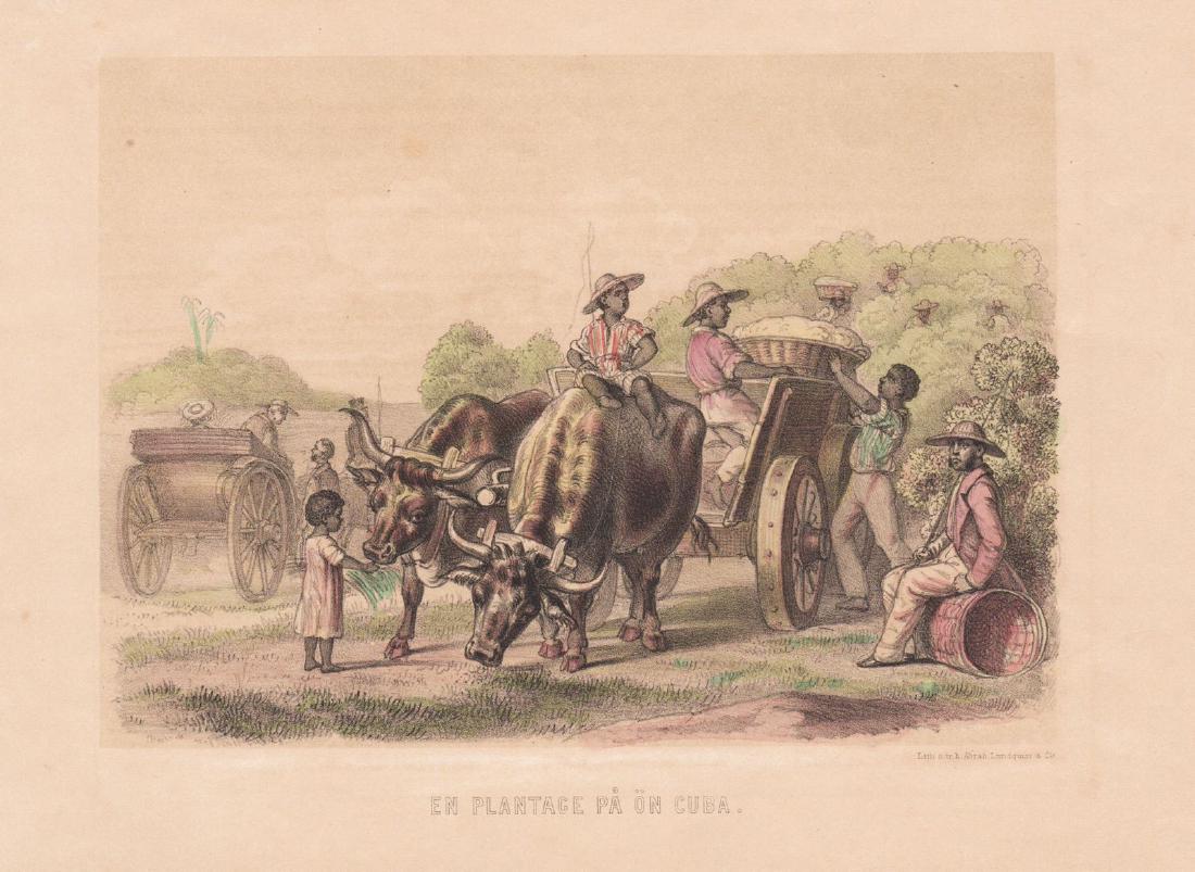 Lundquist: Plantation Scene in Colonial Cuba (1 of 1)