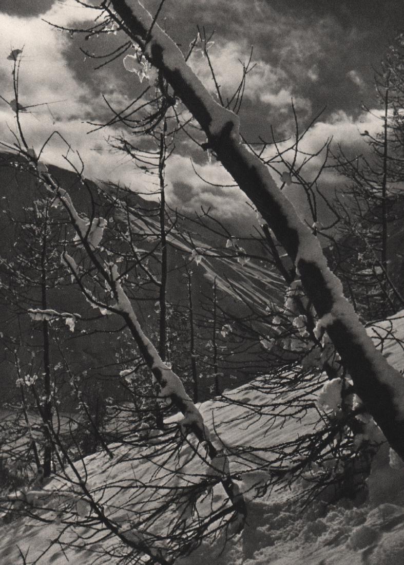 WILLY RONIS - Snow Landscape: Artist: WILLY RONIS Print Title: Snow Landscape Medium: Sheet-Fed Gravure Printing Date: 1938 Printed in France Image Size: 6.5 X 9 inches Willy Ronis(1910-2009) was a French photographer. His best-kn
