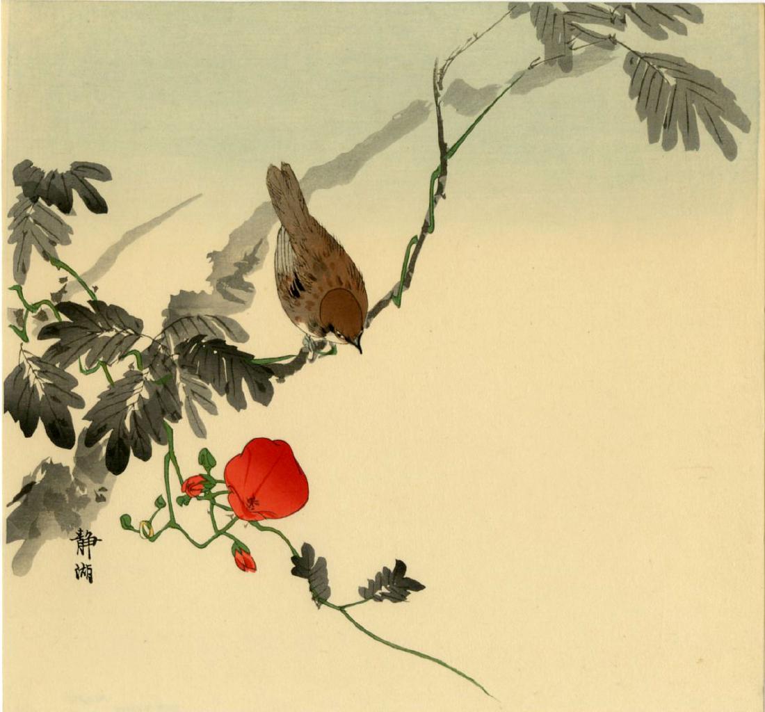 Seiko Okuhara Woodblock Sparrow on a Flowering Branch: Artist: Seiko Okuhara Title: Sparrow on a Flowering Branch Publisher: Kawaguchi Date: 1930s Medium: Japanese woodblock print Size: shikishi, 11.25 x 11 inches Provenance: from the Robert O. Muller est