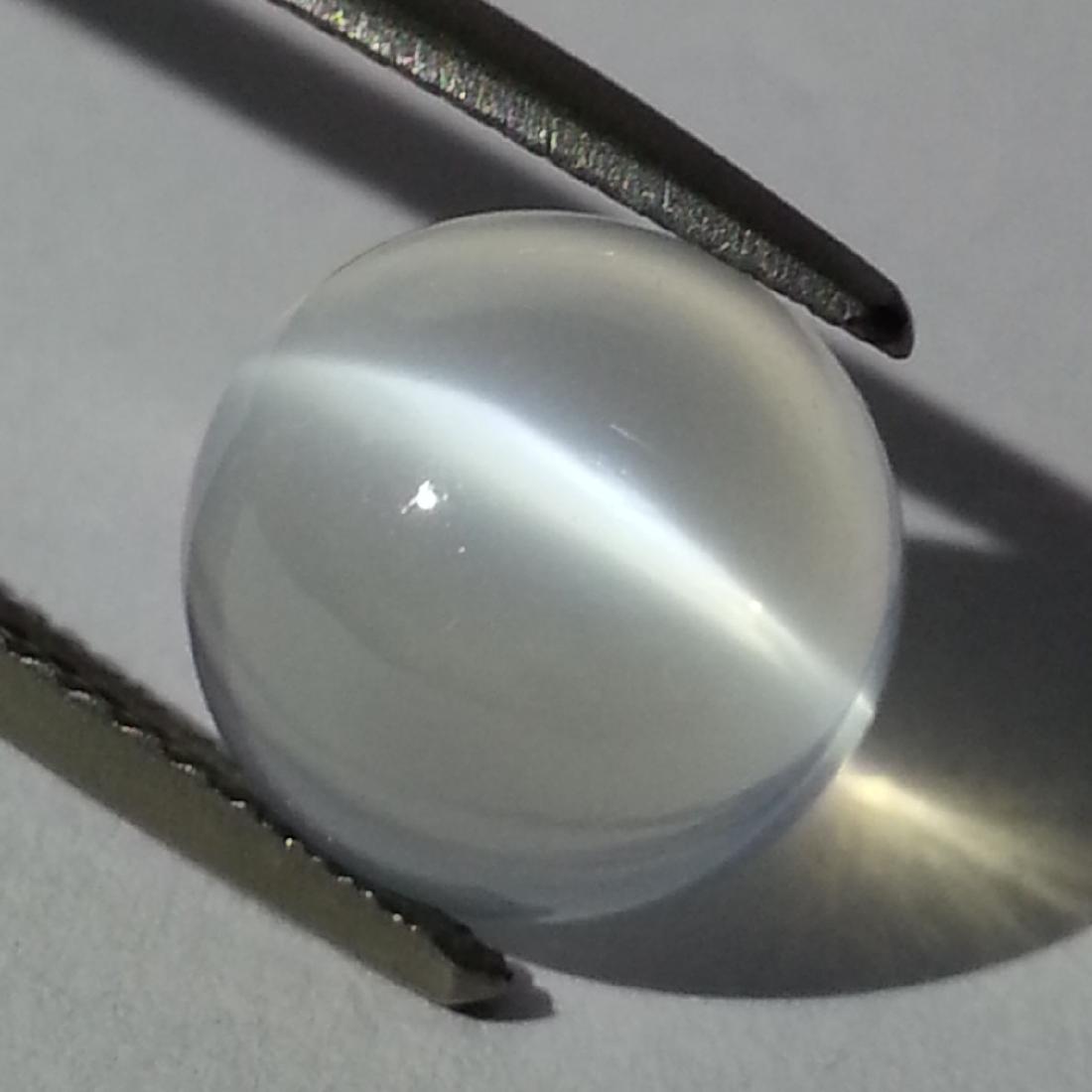 Moonstone Cat's Eye - 4.35: Item: Moonstone Cat's Eye - 4.35 Loose gemstone Stone Clarity: IF - VVS Carat Weight: 4.35 Size (mm): 10.00 x 10.19 x 6.94 Round - Srilanka No Reserve: This lot starts at $1 and has no reserve as a co