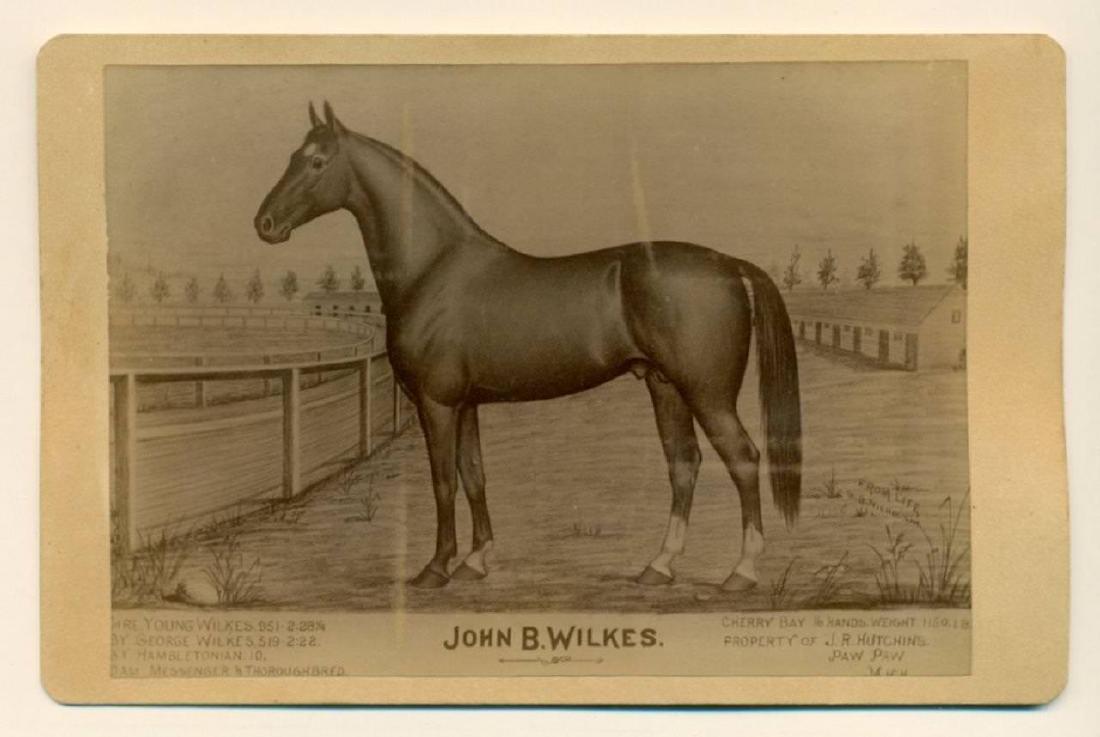 1880 Photo Lithograph Race Horse Portrait John B Wilkes (1 of 2)