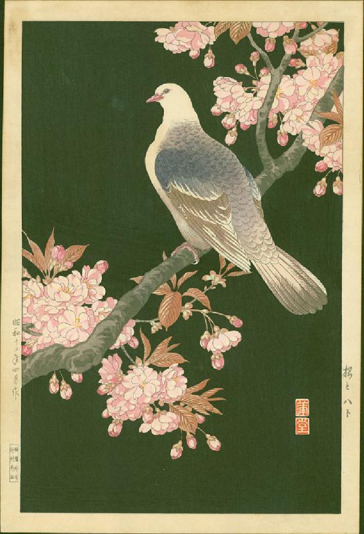 Nishimura Hodo Japanese Woodblock Pigeon and Cherry (1 of 4)