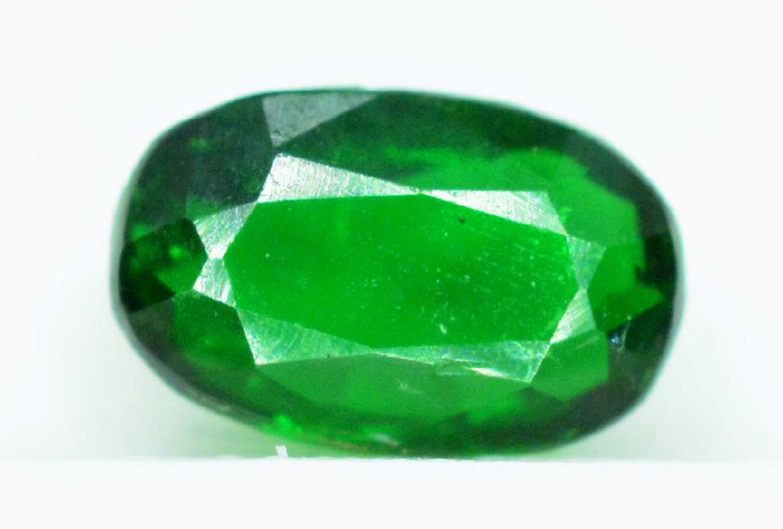 Extremely Rare Green Tsavorite Loose Gemstone: Extremely Rare Green Tsavorite Loose Gemstone Weight : 0.35 carats Size : 3*0.5*0.5 mm Origin : Africa Treatment : Natural DHL Shipping Please note that this lot has a confidential reserve. When you l