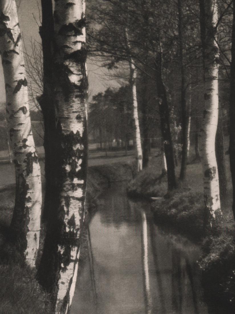 OTHMAR PAUDLER - Birch Trees: Artist: OTHMAR PAUDLER Print Title: Birch Trees Printing Date: 1938 Medium: Photoengraving Printed in: Germany Image Size: 8 x 6.5” Please note that this lot has a confidential reserve. When you lea