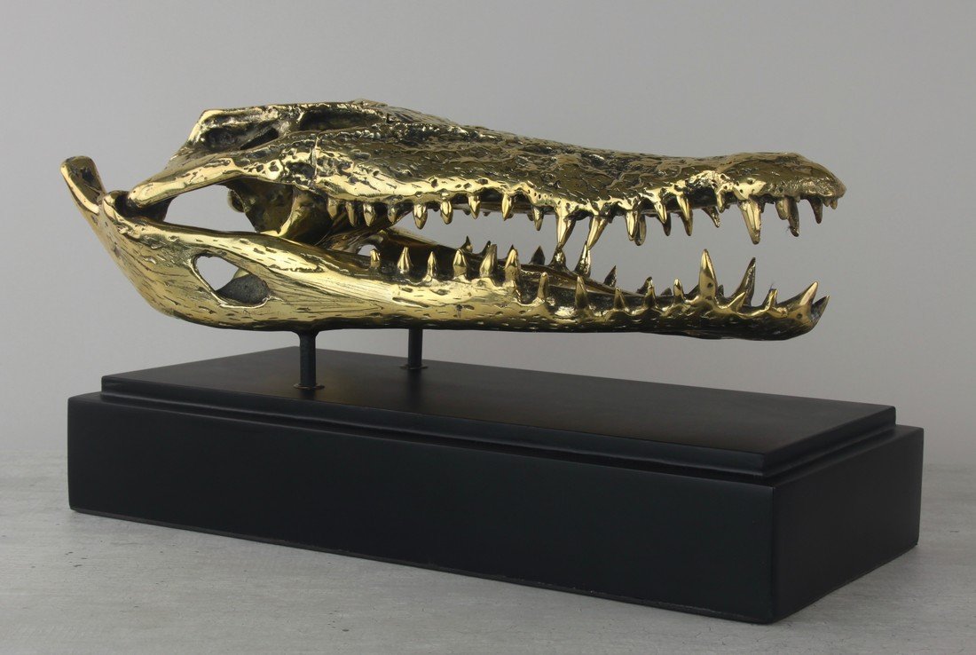 Fine brass statue of a crocodile skull (1 of 10)
