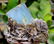 Damage Free and Aesthetic Natural Aquamarine Crystal - 2
