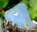 Damage Free and Aesthetic Natural Aquamarine Crystal - 4