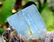 Damage Free and Aesthetic Natural Aquamarine Crystal - 9