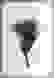 item-61566124=7