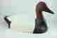 item-61571384=1