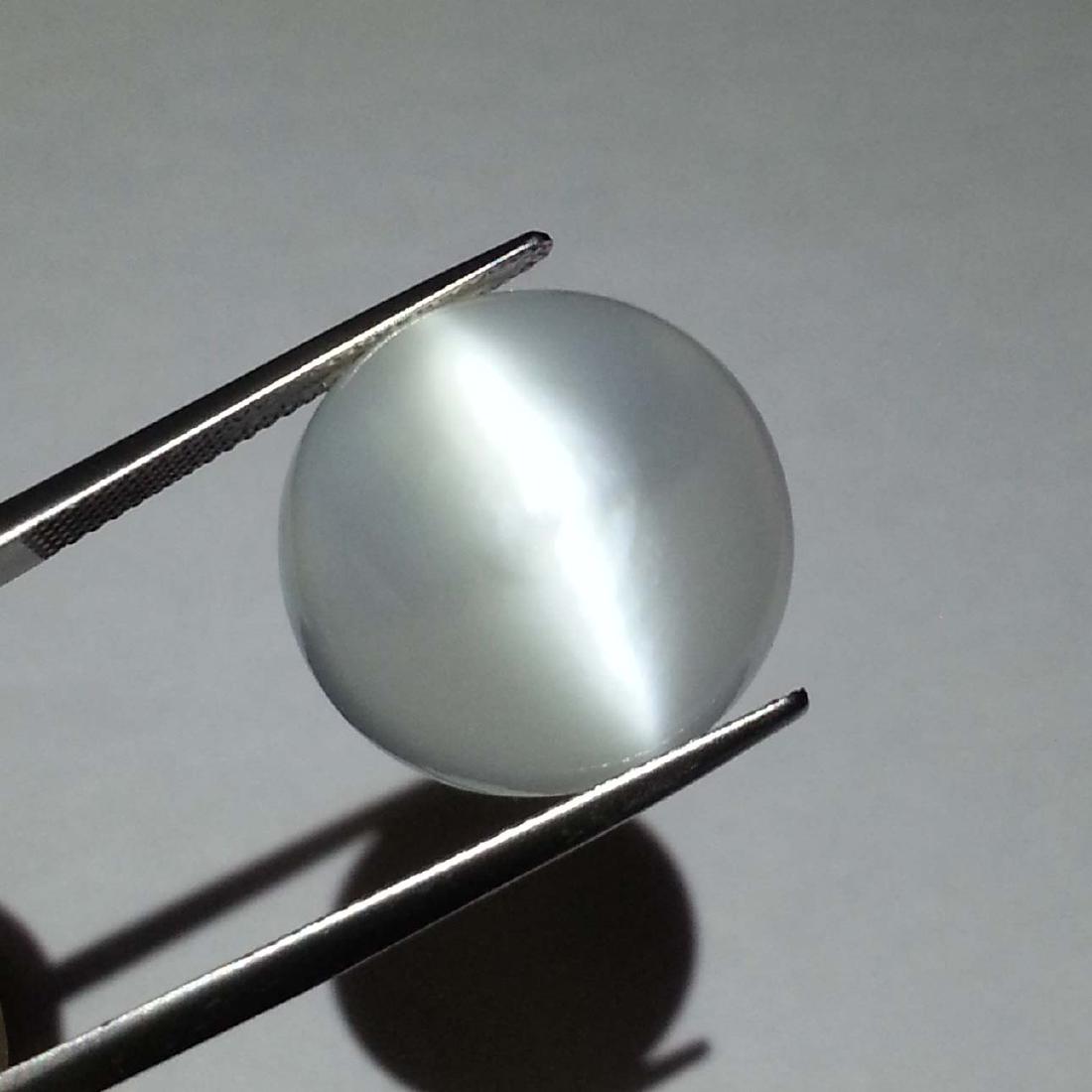 Moonstone Cat's Eye - 28.98 ct (1 of 4)