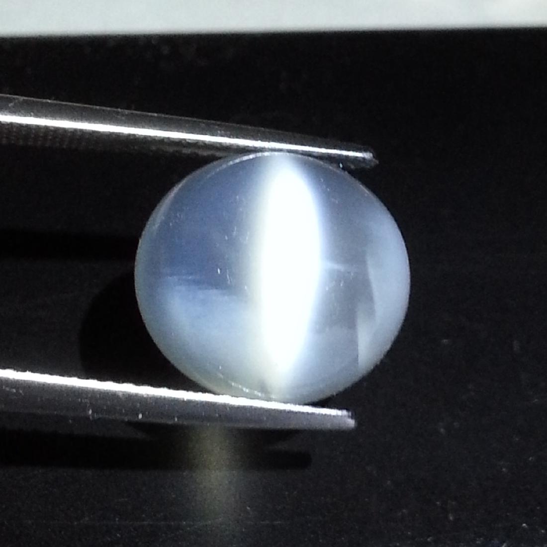 Moonstone Cat's Eye - 9.77 ct (1 of 4)