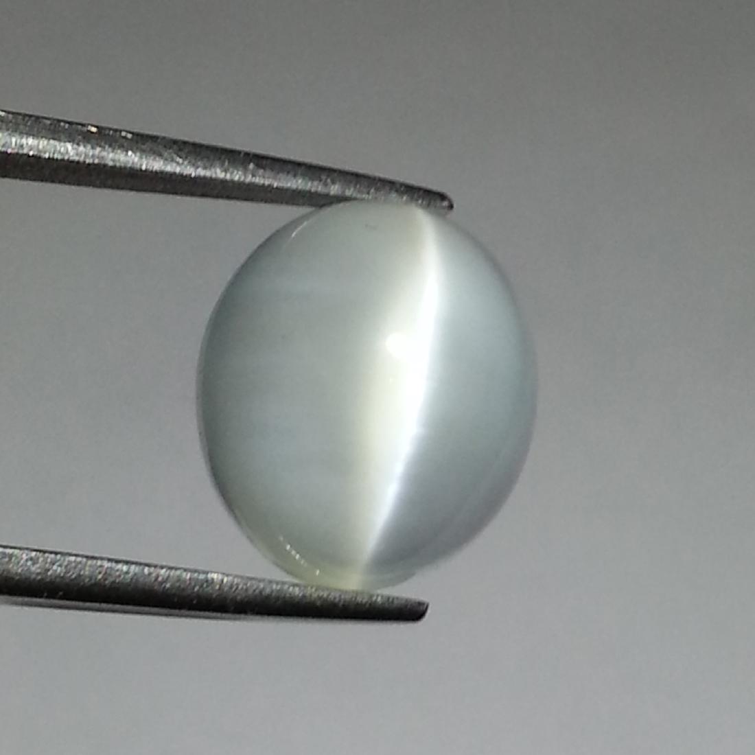 Moonstone Cat's Eye - 11.12 ct (1 of 4)