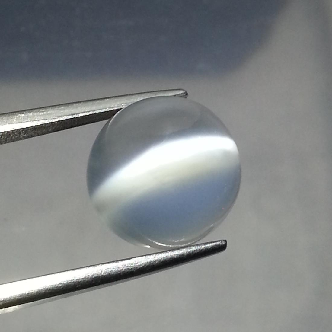 Moonstone Cat's Eye - 8.66 ct: Item: Moonstone Cat's Eye - 8.66 ct Loose gemstone Color/Clarity: VVS Carat Weight: 8.66 Size (mm): 11.30 x 11.30 x 9.00 Round - Srilanka No Reserve: This lot starts at $1 and has no reserve as a cour