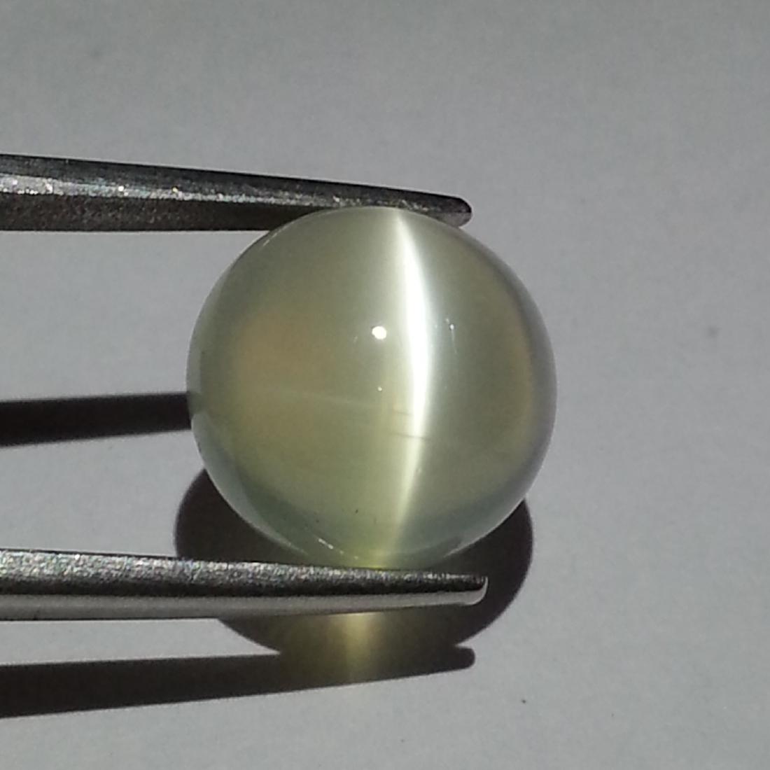 Moonstone Cat's Eye - 7.97 ct: Item: Moonstone Cat's Eye - 7.97 ct Loose gemstone Color/Clarity: IF - VVS Carat Weight: 7.97 Size (mm): 12.40 x 12.30 x 7.00 Round - Srilanka No Reserve: This lot starts at $1 and has no reserve as a