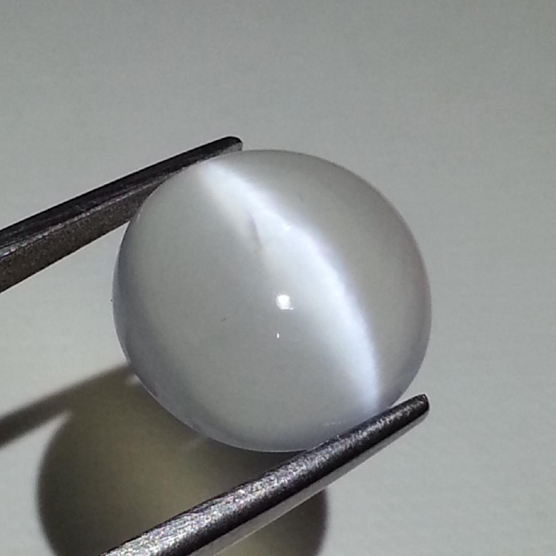 Moonstone Cat's Eye - 8.22 ct (1 of 4)