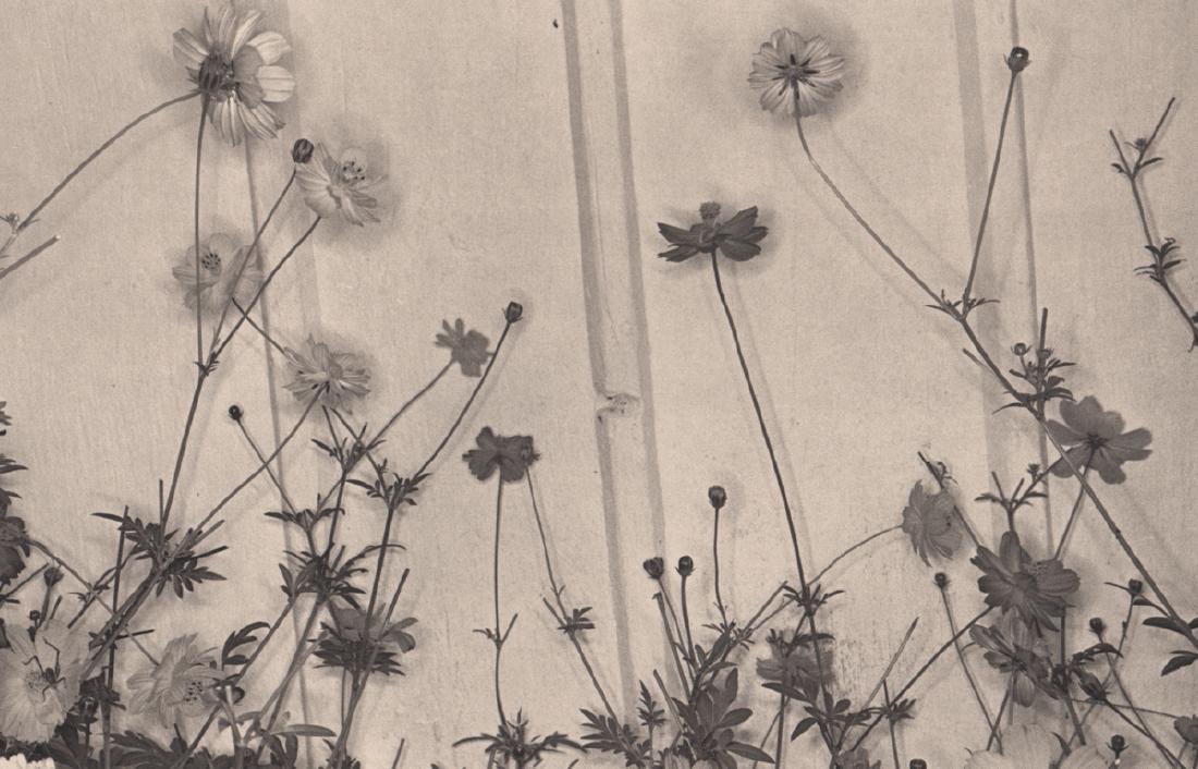 LEE FRIEDLANDER - Craryville, NY, 1974: Artist: LEE FRIEDLANDER Print Title: Craryville, NY, 1974 Medium: Photo-engraving on heavy matte art paper Printing Date: 1981 Printed in the USA Image Size: 11 X 7.25 inches Lee Friedlander (born Jul