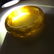 Baltic amber cut bangle bracelet 85x23mm, 49.2 gr - 10
