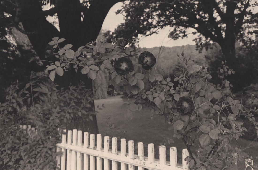 LEE FRIEDLANDER - Pomona, NY 1977: Artist: LEE FRIEDLANDER Print Title: Pomona, NY 1977 Medium: Photo-engraving on heavy matte art paper Printing Date: 1981 Printed in the USA Image Size: 11 X 7.5 inches Lee Friedlander (born July 14,