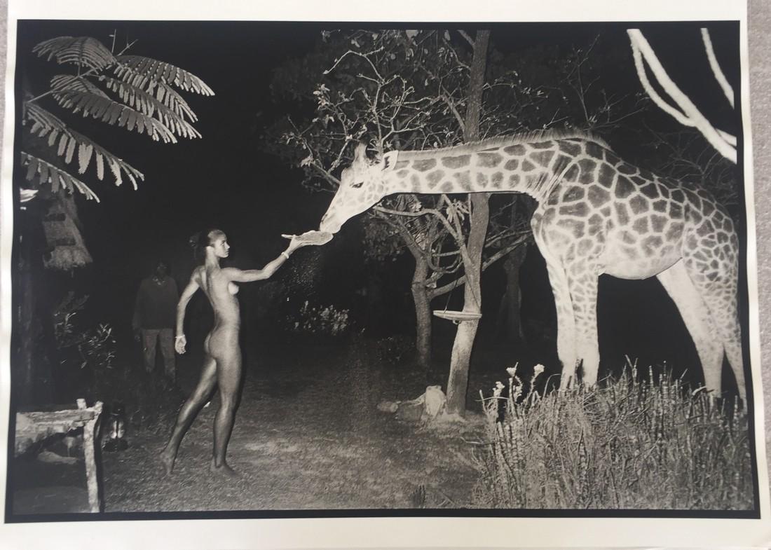 After Peter Beard Photo Untitled (Maureen Gallagher): Artist: After Peter Beard - American, b. 1938 Title, Year: Untitled (Maureen Gallagher and a night feeder at Hog Ranch, 2:00 am, February 1987) Medium: Black and white photographic print Dimensions: I